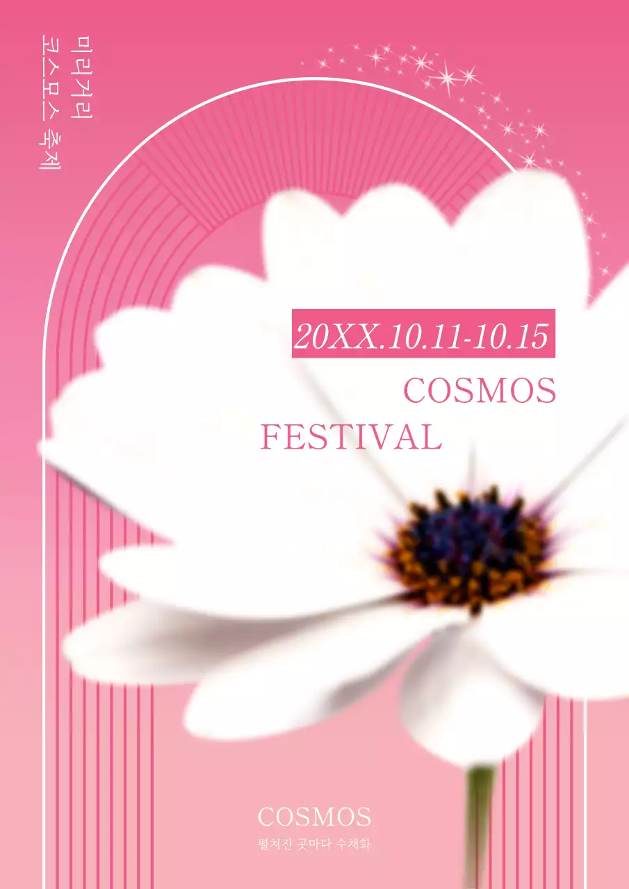 핑크와 흰색의 팝한 코스모스 꽃 축제 홍보
