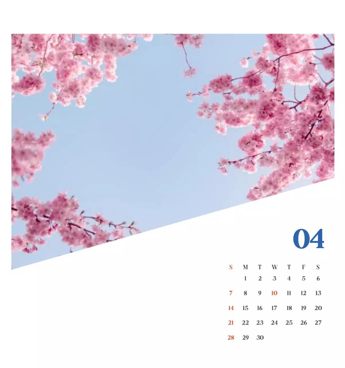 Calendario hospitalario con fotos de paisajes estacionales