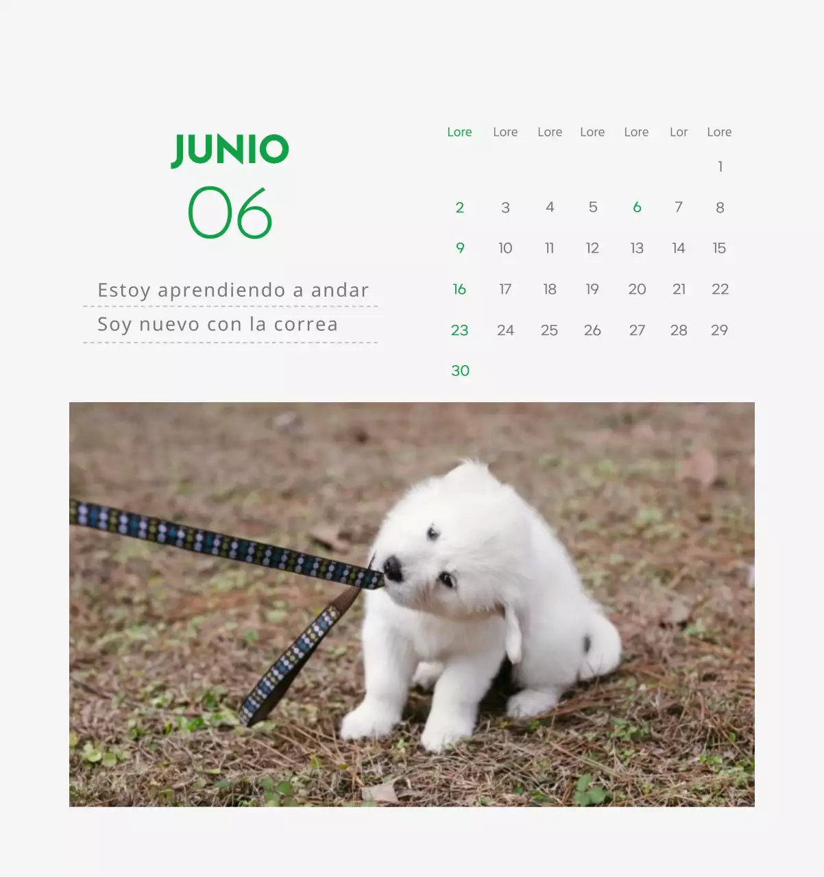Un calendario con la imagen de un cachorro y un bonito mensaje en tonos verdes.