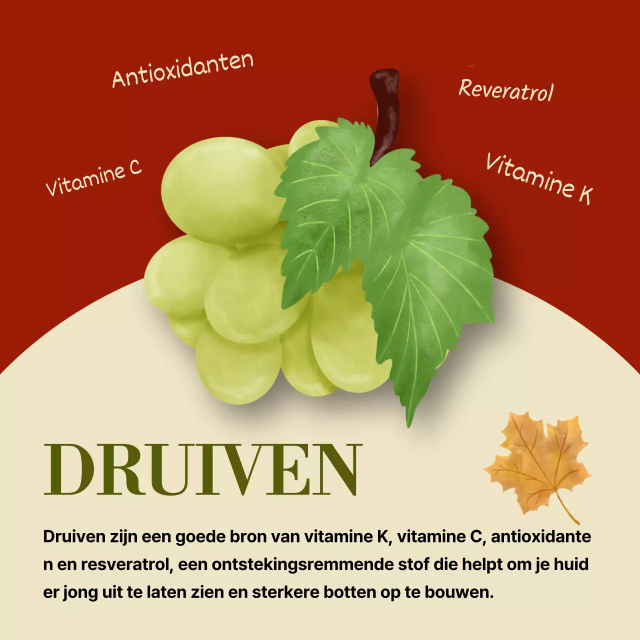 Promoot eenvoudig seizoensfruit in rood