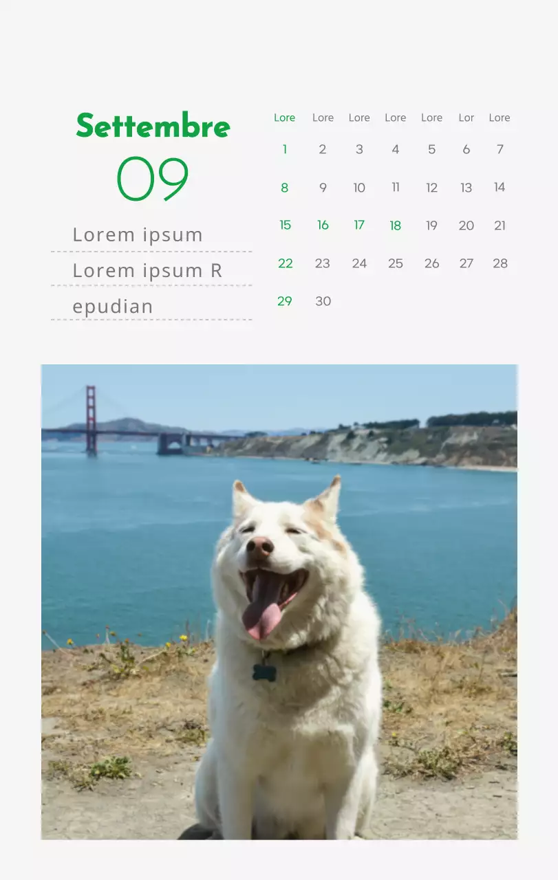 Un calendario con l'immagine di un cucciolo e un simpatico messaggio in verde.