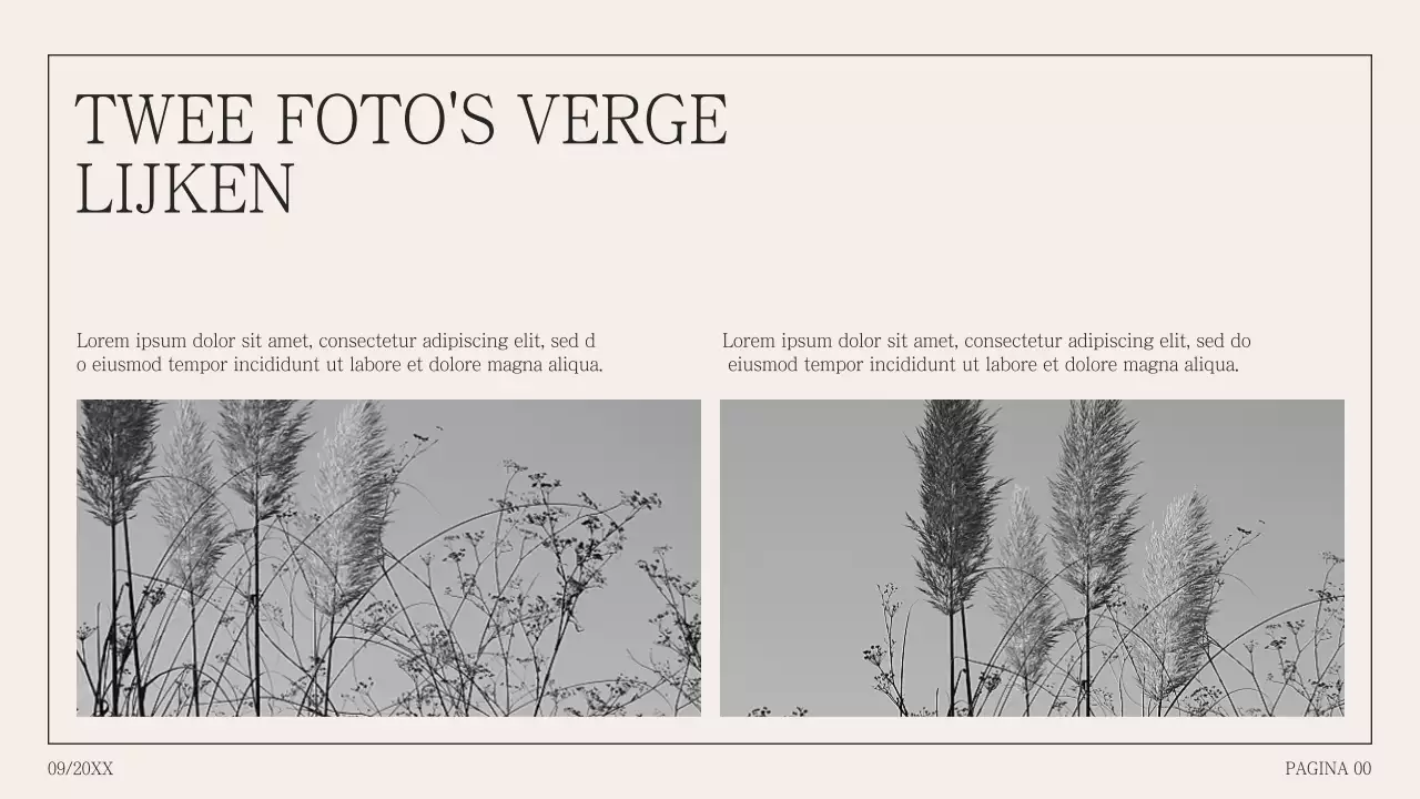 Eenvoudige fotocollage voorstel in bultrug