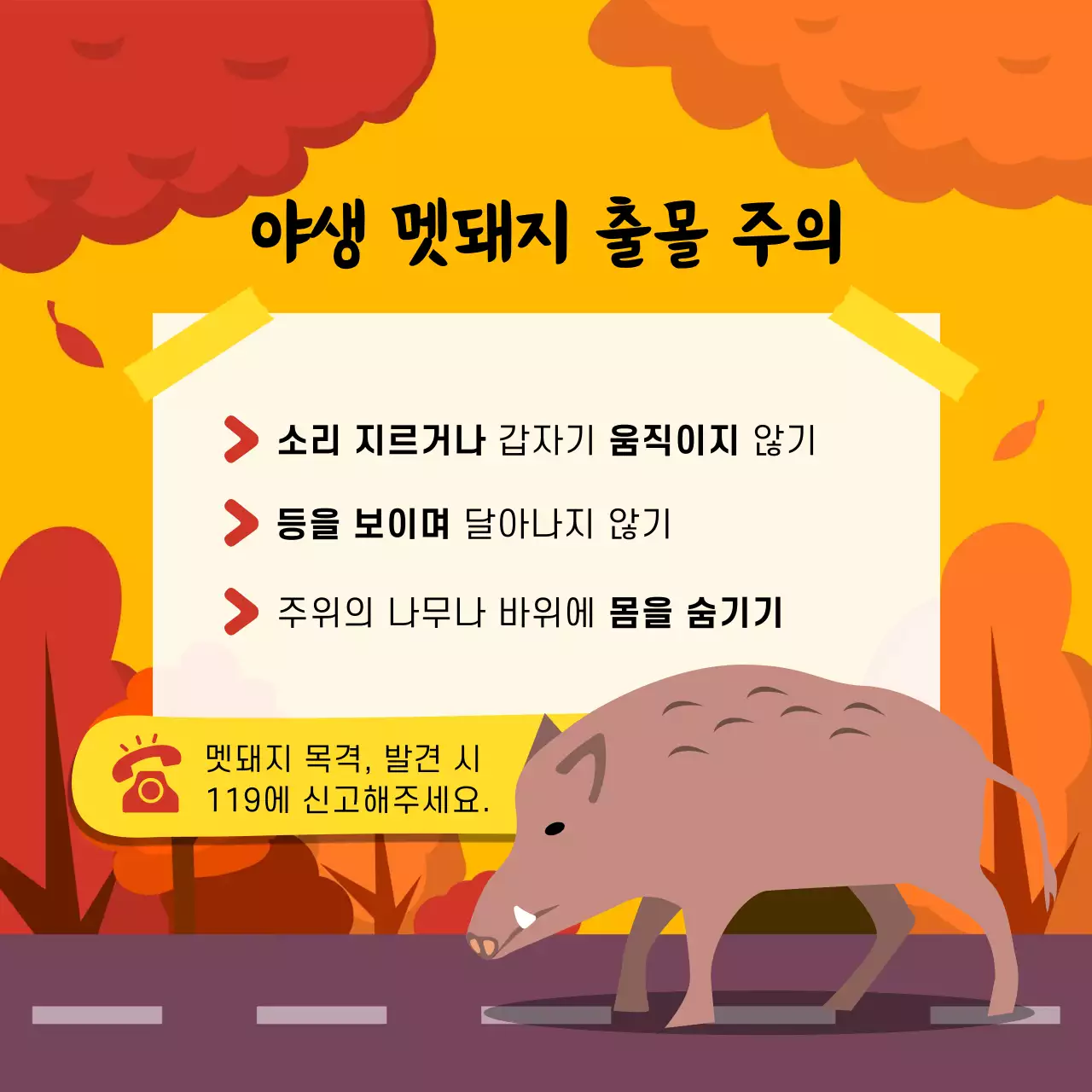 주황색과 노랑의 자연적인 야생동물 안전수칙 안내서