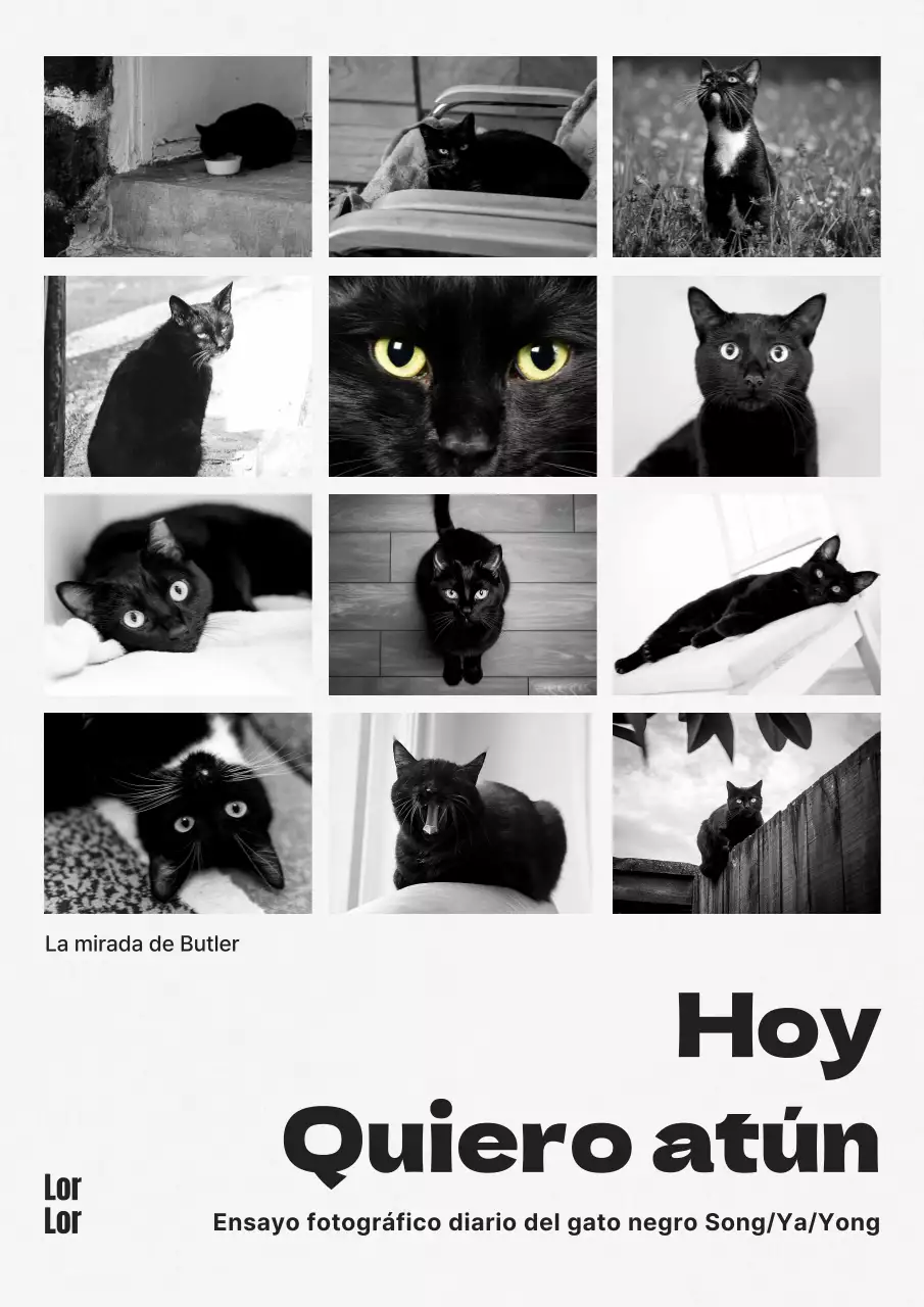 Portada de libro de ensayo fotográfico de gato moderno en blanco y negro y blanco y negro