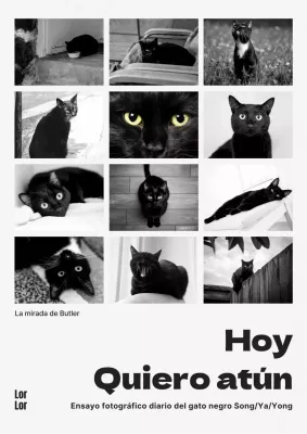 Portada de libro de ensayo fotográfico de gato moderno en blanco y negro y blanco y negro