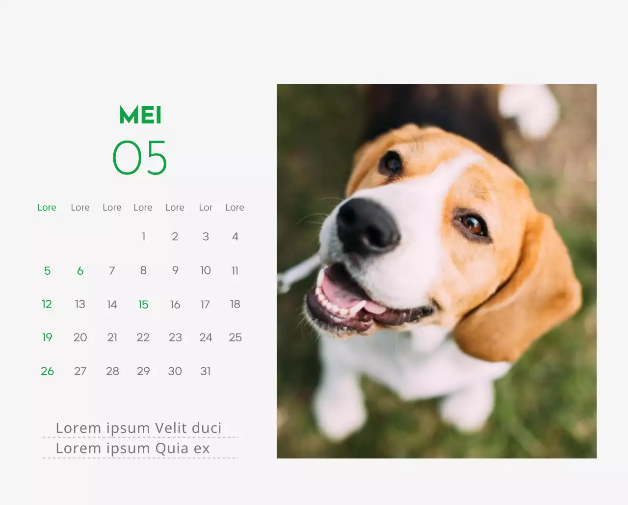 Een kalender met een afbeelding van een puppy en een schattige boodschap in groene accenten