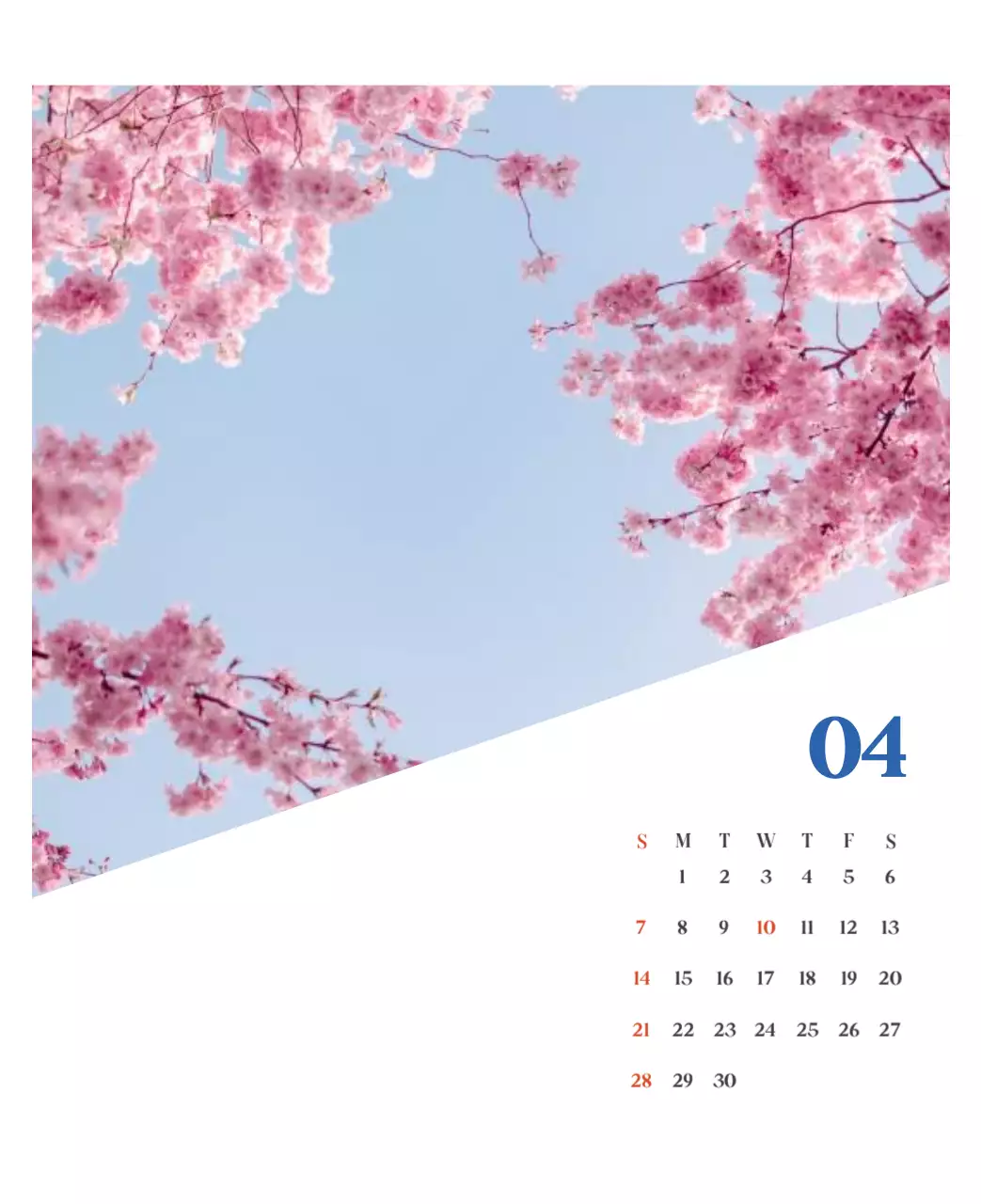 Ziekenhuiskalender met seizoensgebonden landschapsfoto's