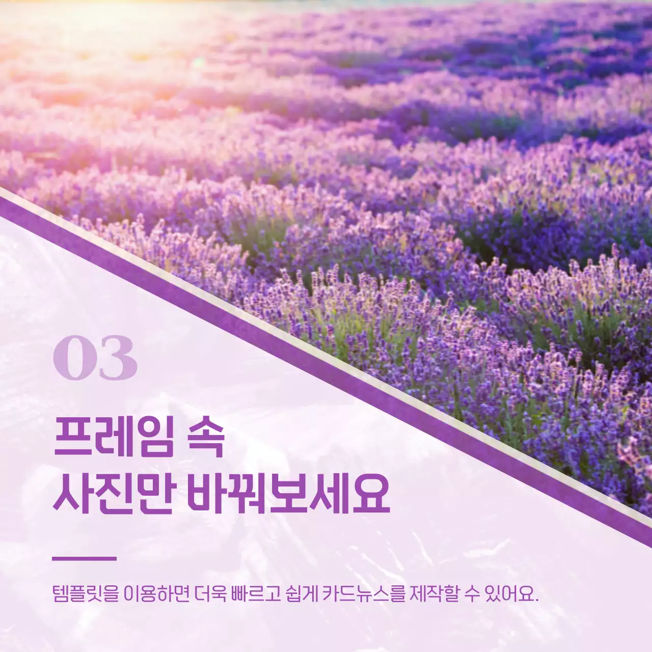 보라색의 미니멀한 마케팅 게시글