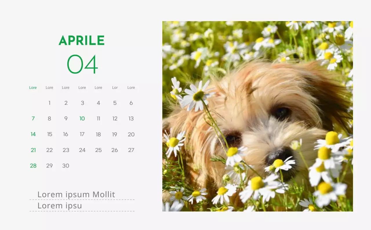 Un calendario con l'immagine di un cucciolo e un simpatico messaggio in verde.