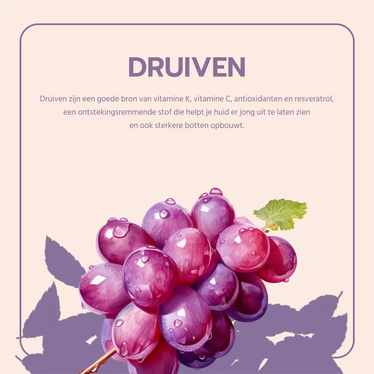 Promoot vintage seizoensfruit in oranje en beige