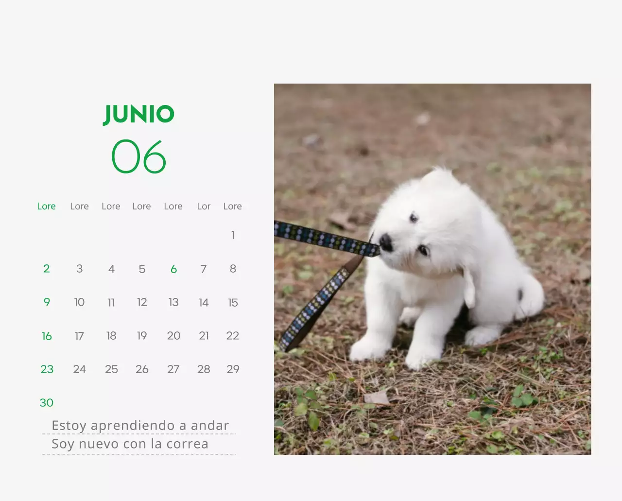 Un calendario con la imagen de un cachorro y un bonito mensaje en tonos verdes.