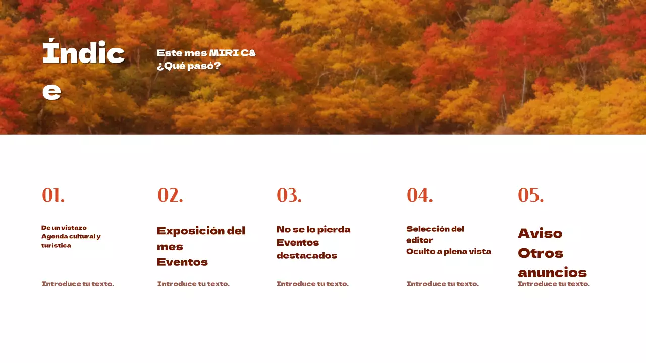 Promover un sencillo boletín turístico local con acentos naranjas