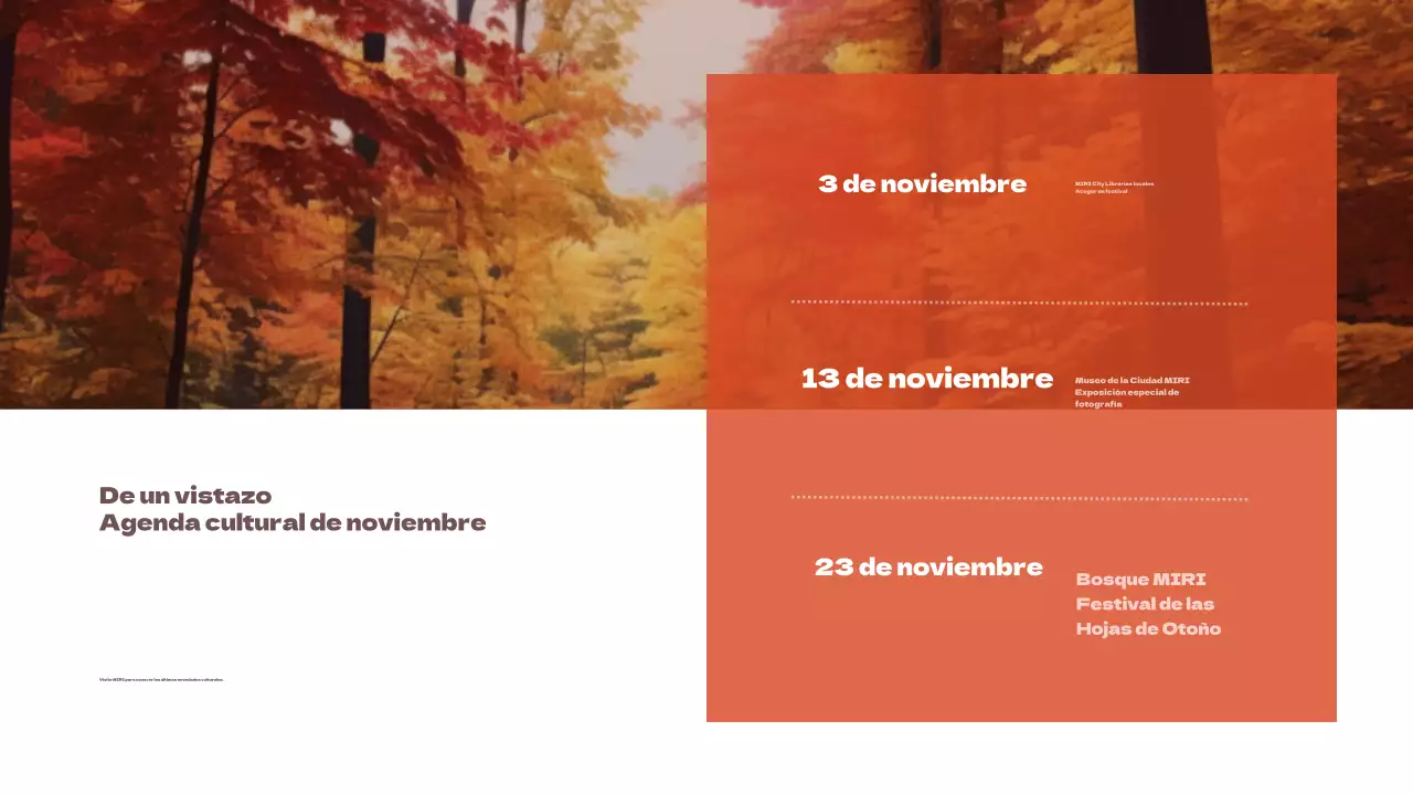 Promover un sencillo boletín turístico local con acentos naranjas