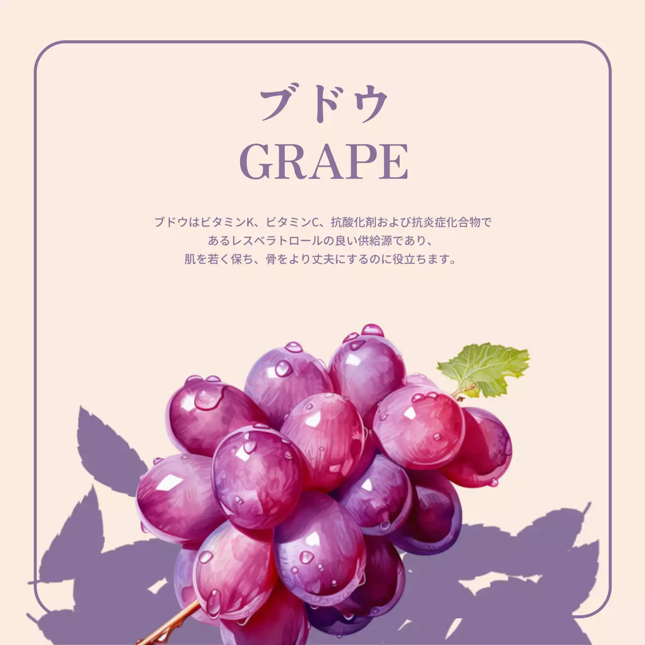 カラフル シンプル フルーツ パンフレット SNS投稿 正方形