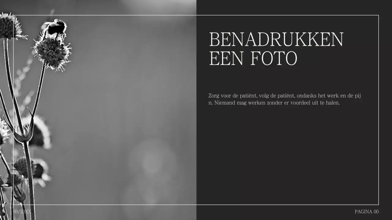 Eenvoudige fotocollage voorstel in bultrug