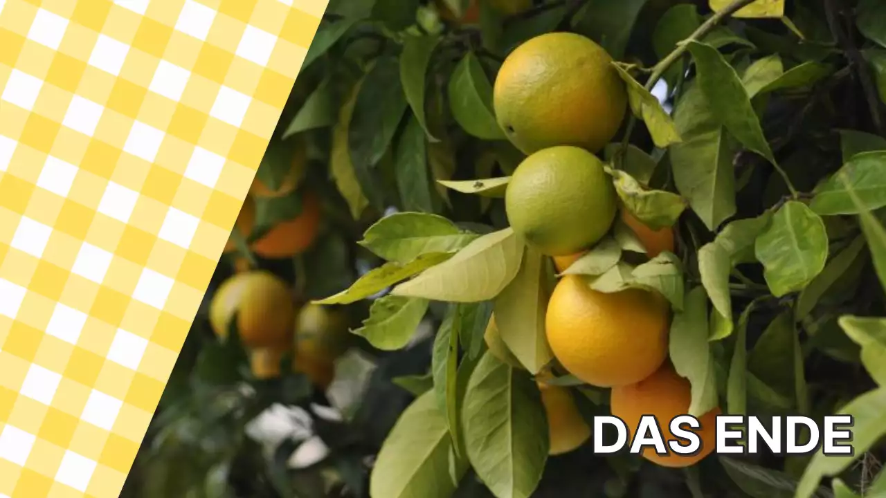 Trendy Foto-Collage Vorschlag in weiß und gelb