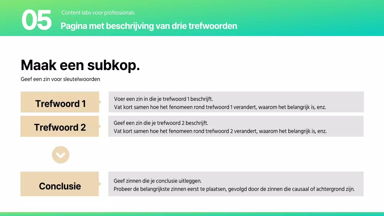 Een verscheidenheid aan lay-out rapporten in een trendy mint en beige kleurenschema