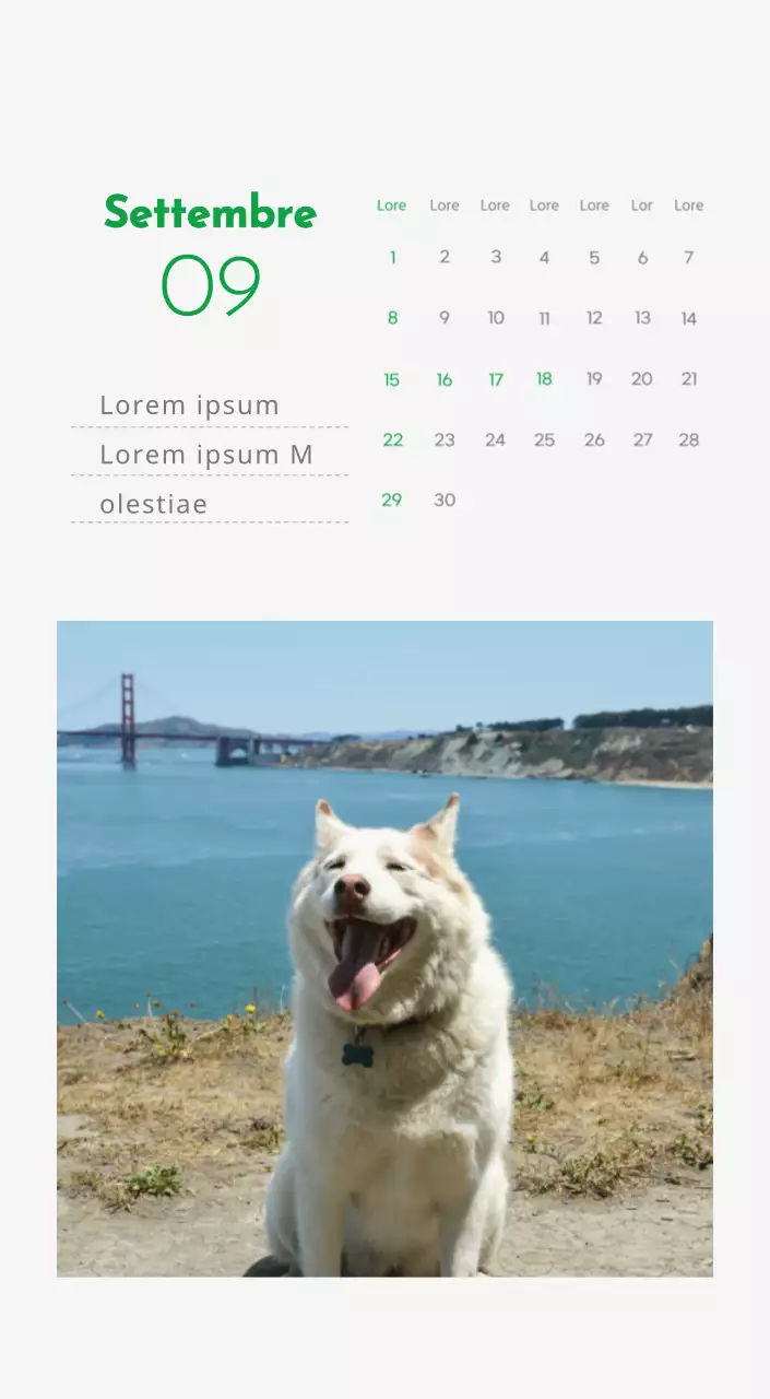 Un calendario con l'immagine di un cucciolo e un simpatico messaggio in verde.