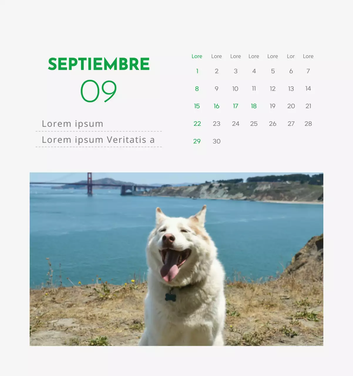 Un calendario con la imagen de un cachorro y un bonito mensaje en tonos verdes.