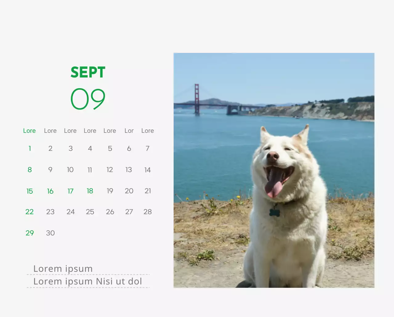 Un calendrier avec la photo d'un chiot et un message mignon aux accents verts.