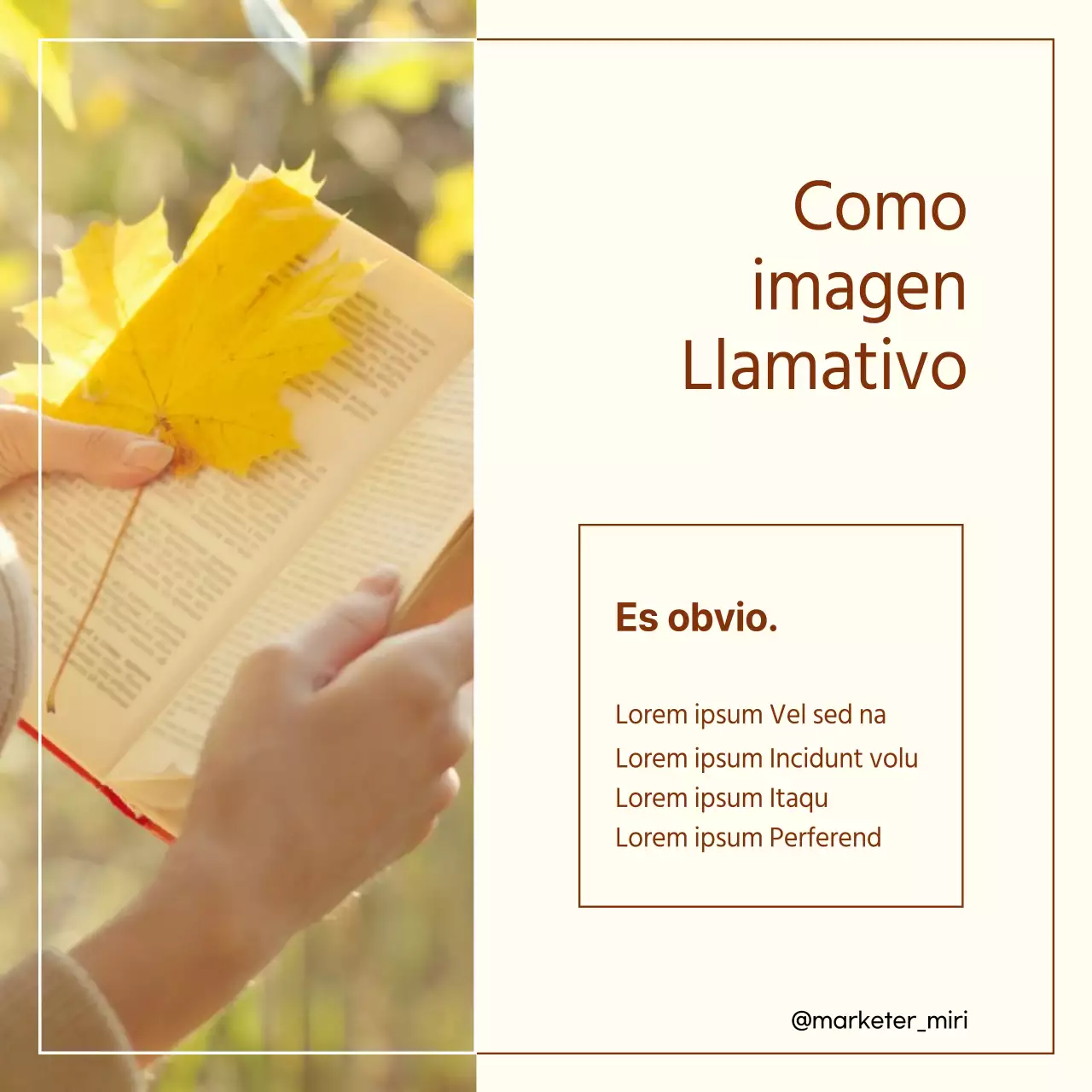 Guía para diseñar una plantilla de marketing cálida y sencilla en marrón y blanco