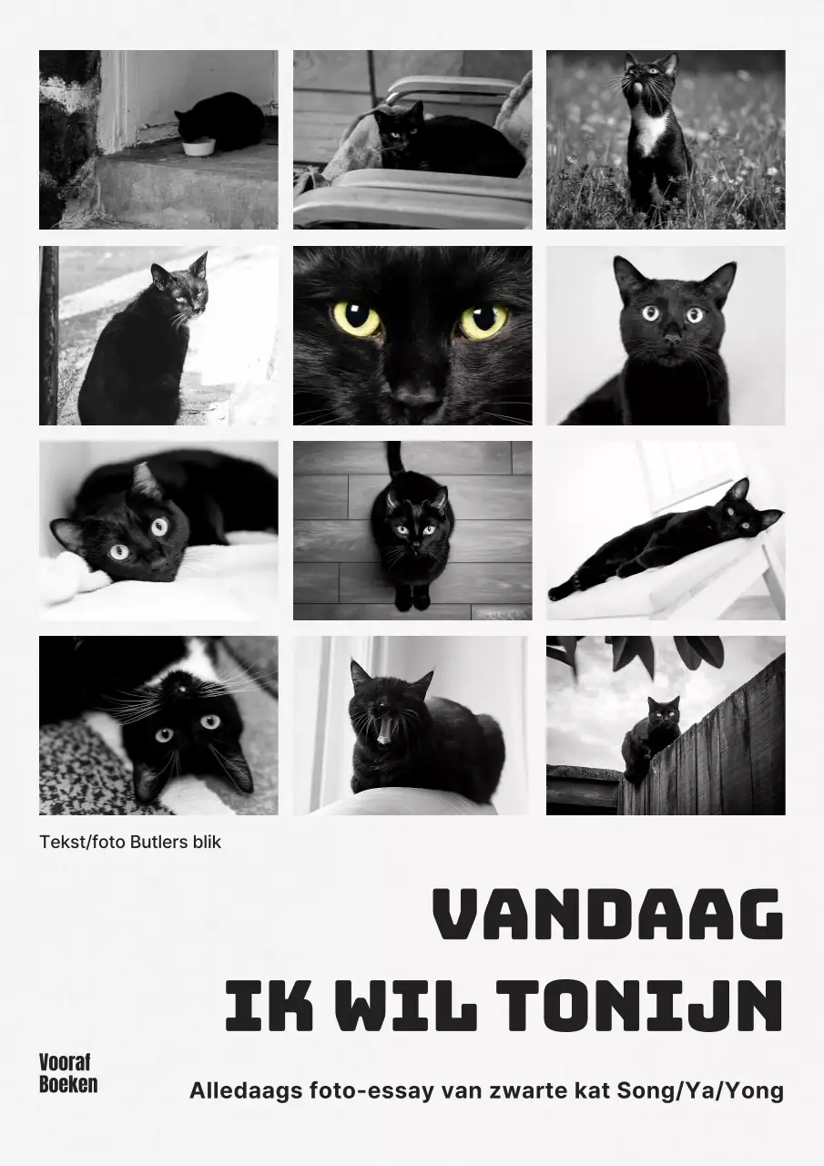 Modern katten foto essay boekomslag in zwart-wit en zwart-wit