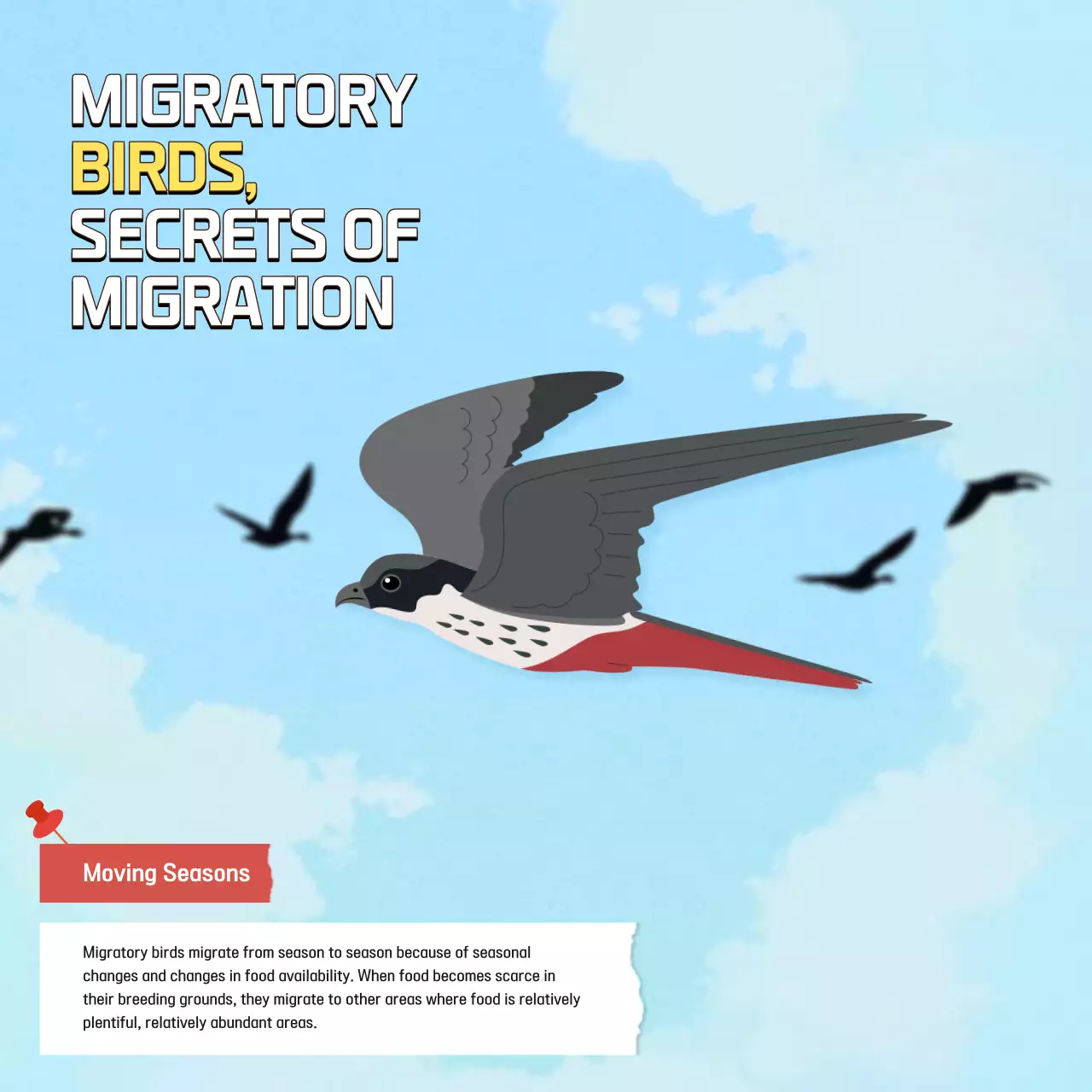 Blue Educational Bird Conservation Guide Instagram Carousel