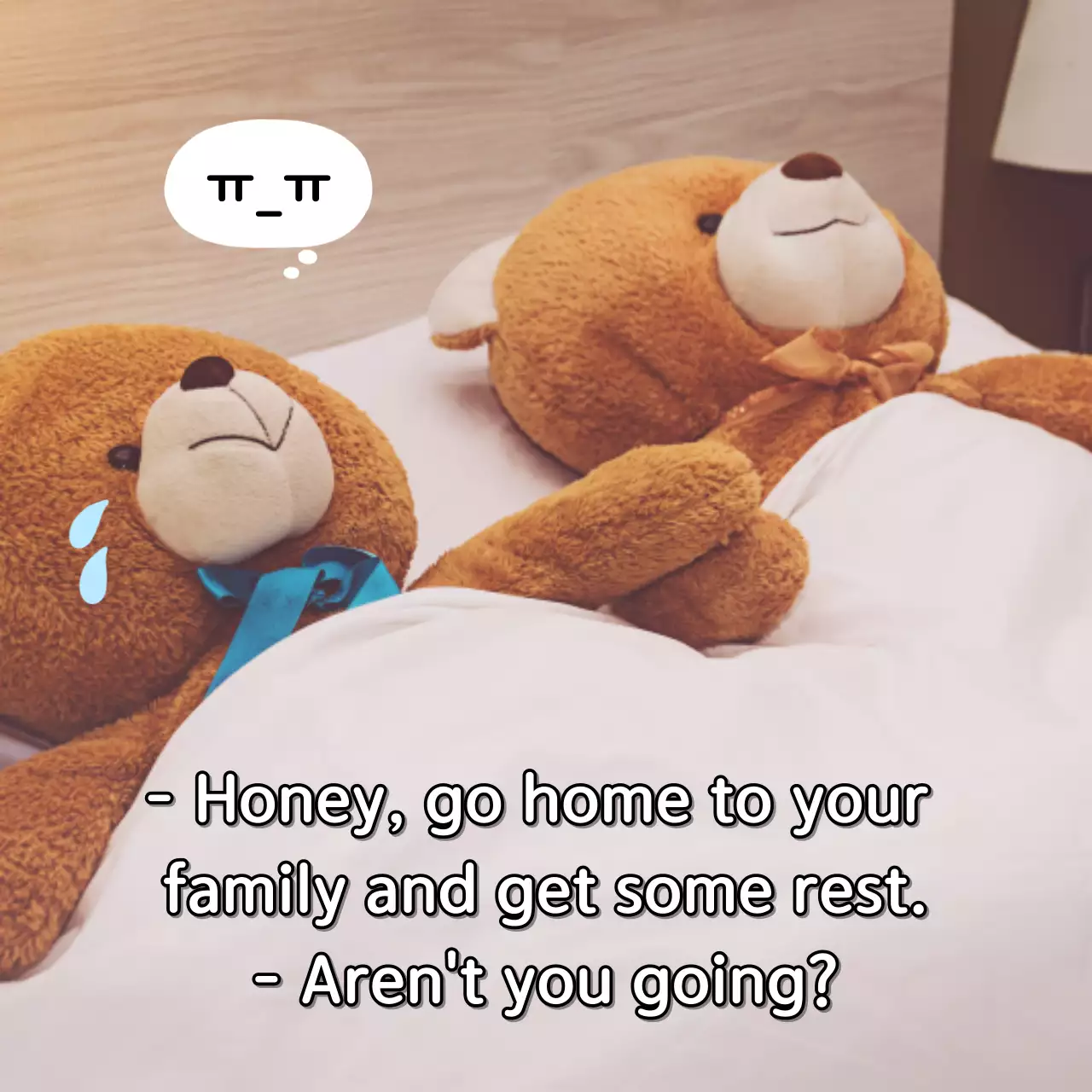 Brown Cute Teddy Storybook Social Media Post