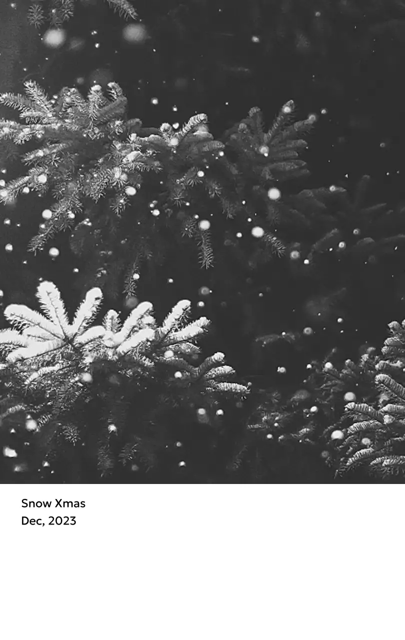 すっきりとした都会的な雰囲気のフォトカレンダー