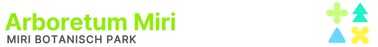 Ontwerp je merk in heldere kleuren