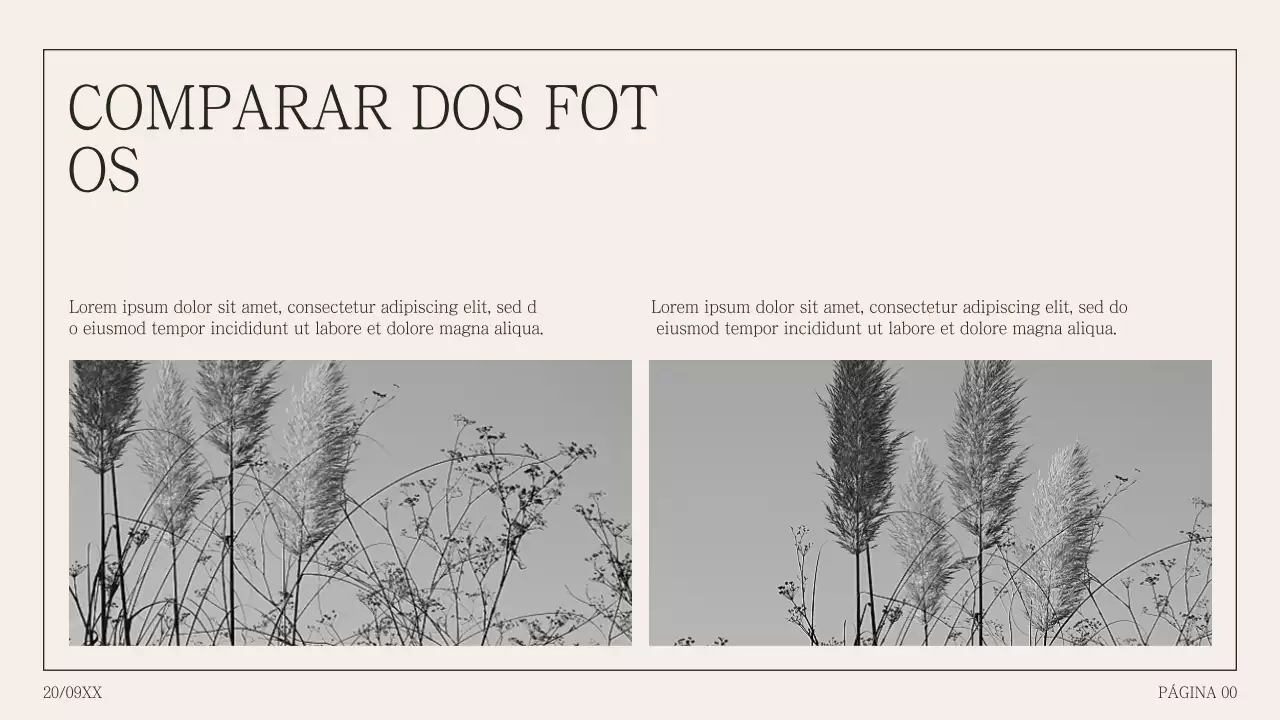 Propuesta de collage fotográfico sencillo en jorobado