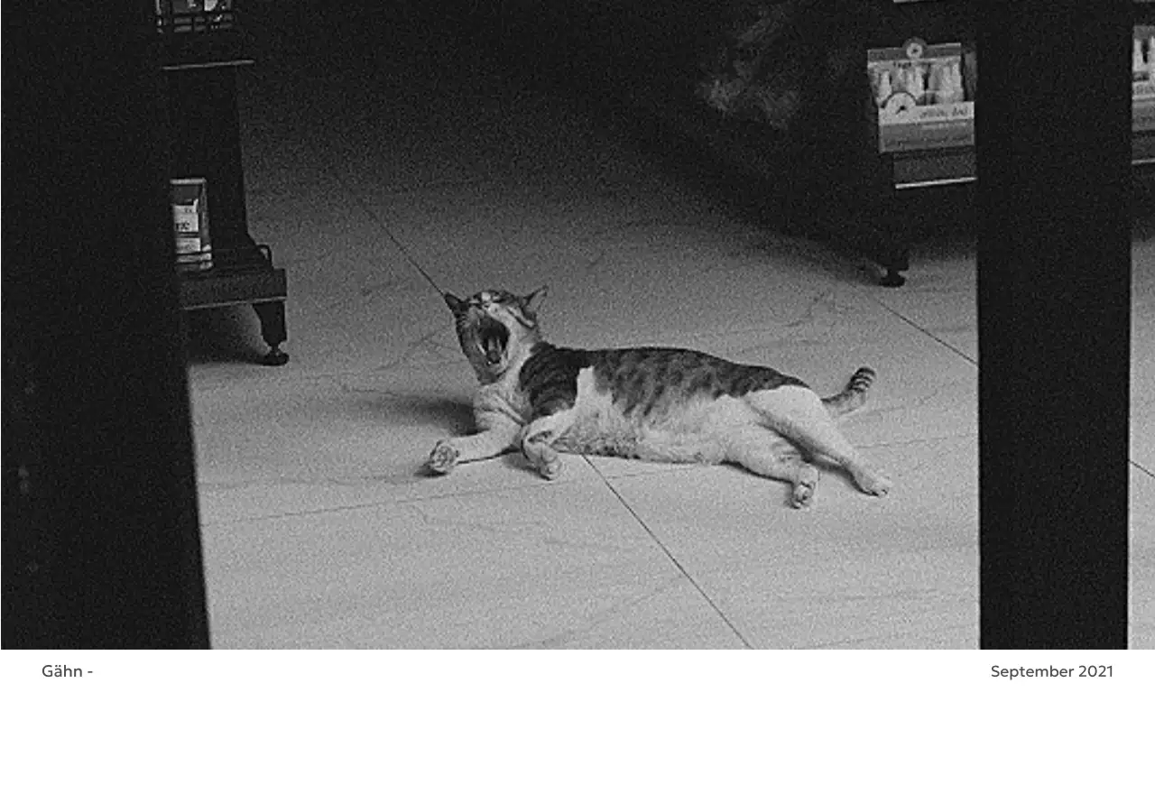 Ein Fotokalender mit klarem, urbanem Charakter