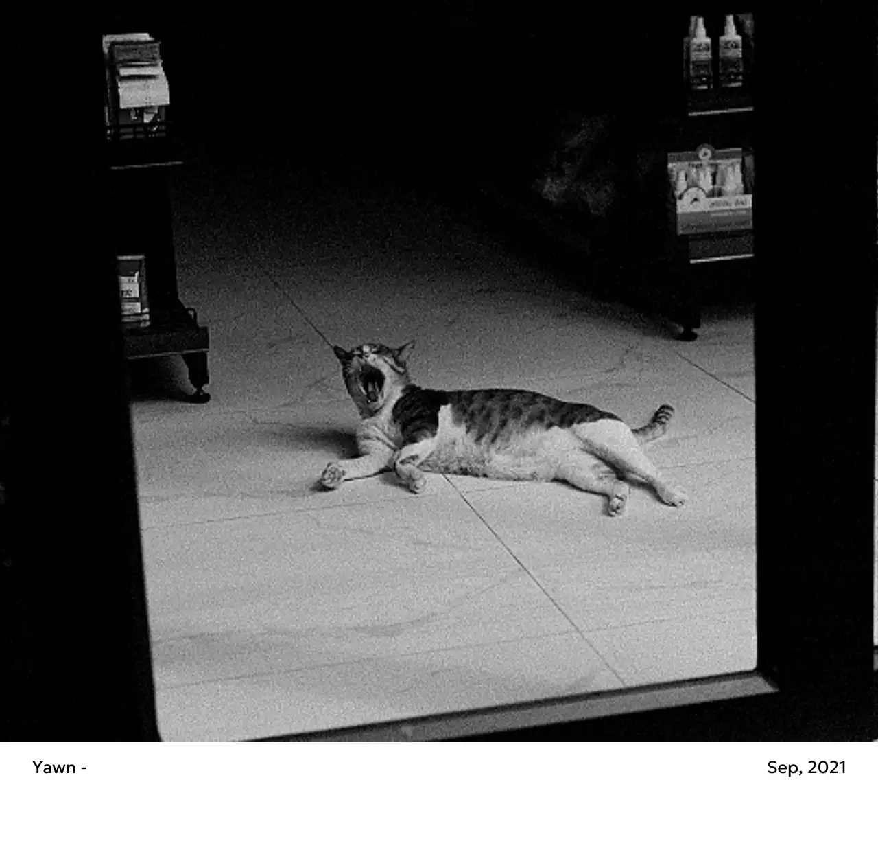 すっきりとした都会的な雰囲気のフォトカレンダー