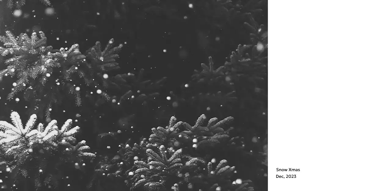 すっきりとした都会的な雰囲気のフォトカレンダー