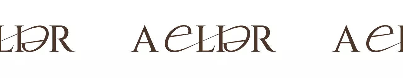 Per un negozio editoriale di concetto di fascia alta con un logo di testo marrone scuro