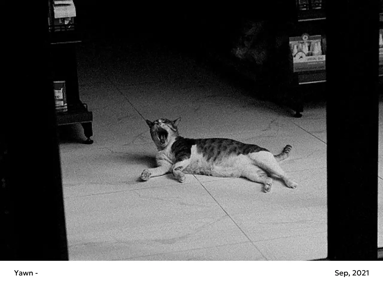 すっきりとした都会的な雰囲気のフォトカレンダー