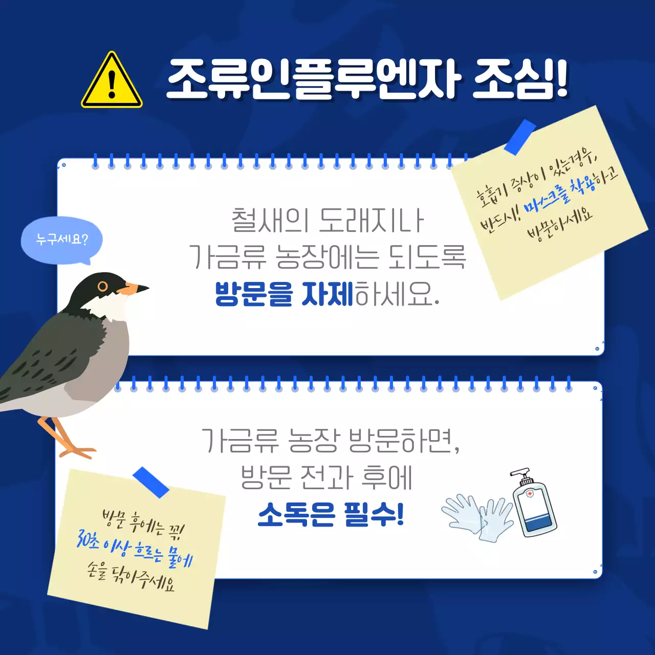 파랑과 노랑의 심플한 야생동물 안전수칙 홍보