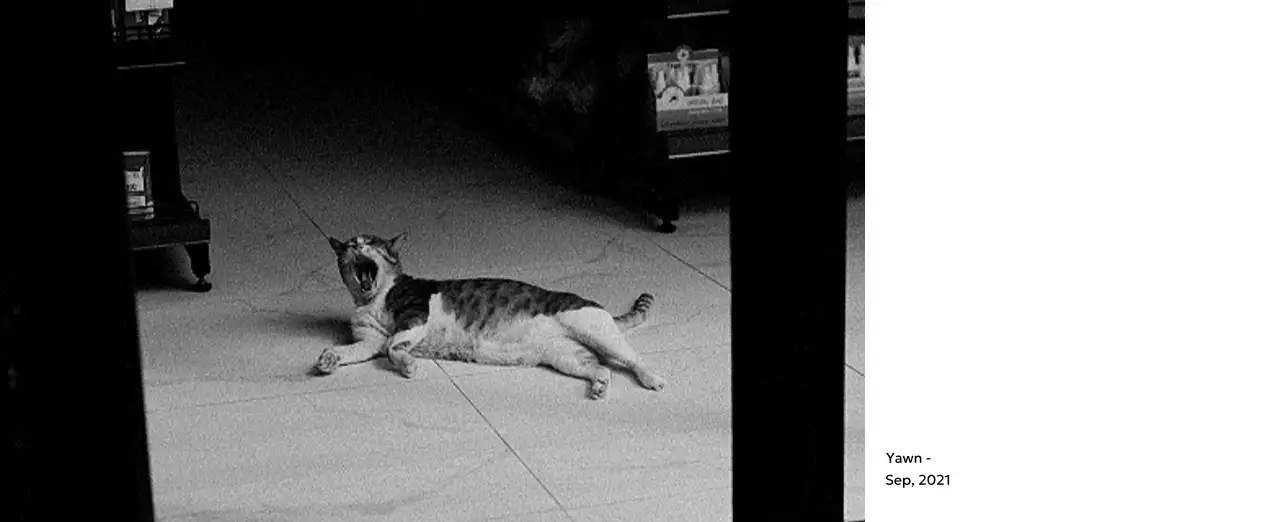 すっきりとした都会的な雰囲気のフォトカレンダー