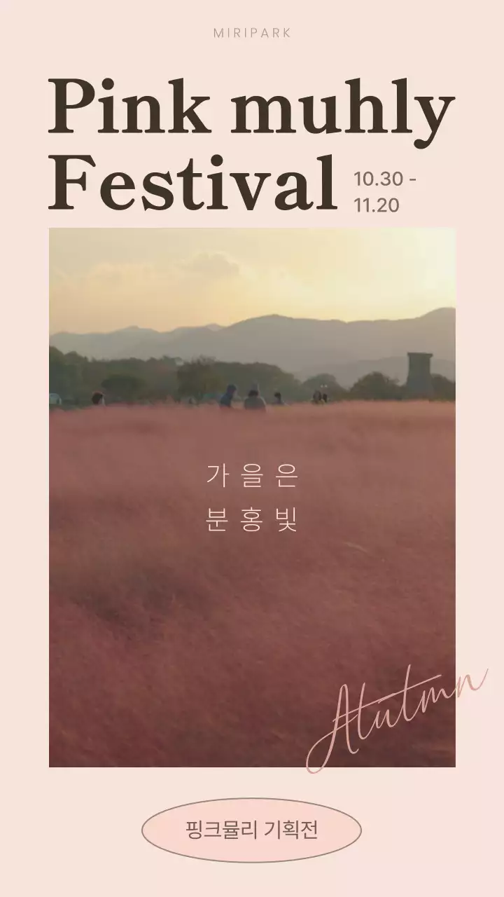 핑크의 심플하고 자연의 핑크뮬리 축제 홍보
