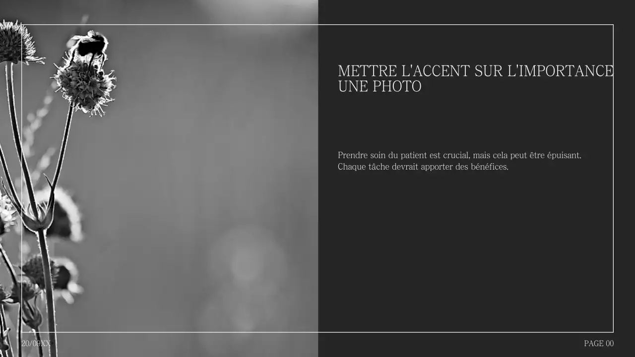 Proposition simple de collage de photos en dos d'âne