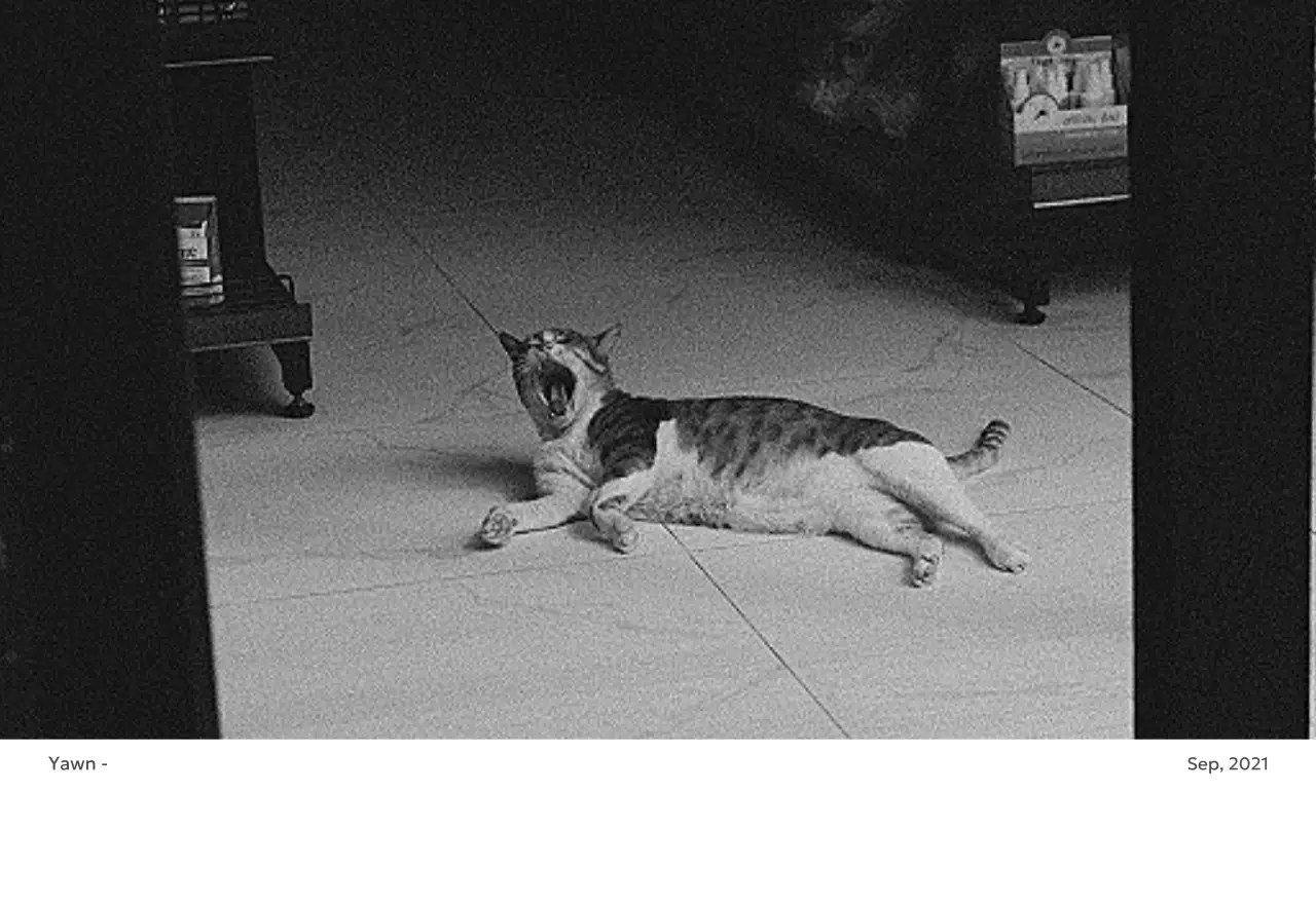 すっきりとした都会的な雰囲気のフォトカレンダー