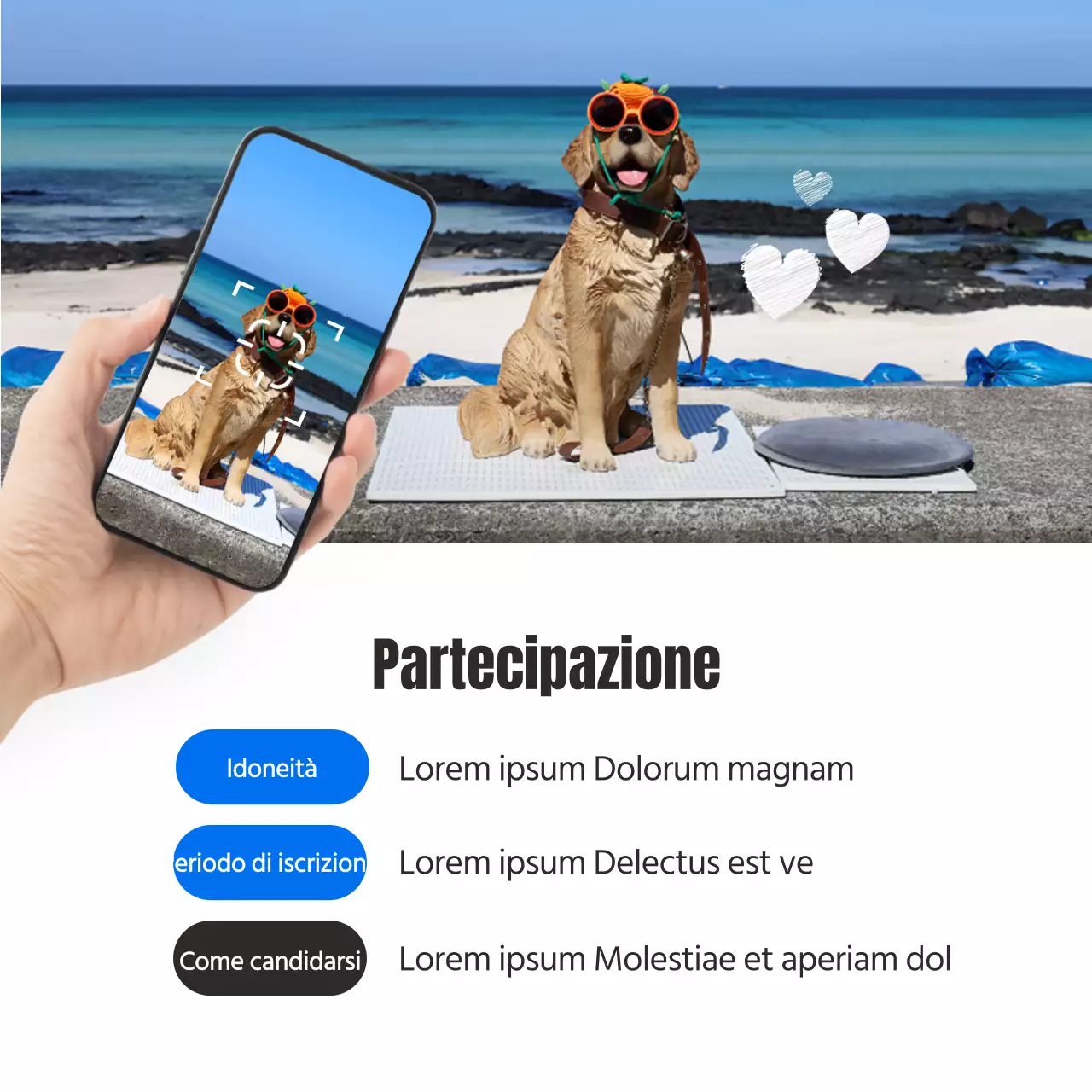 Promuovere il concorso di fotografia di viaggio naturale del Blu