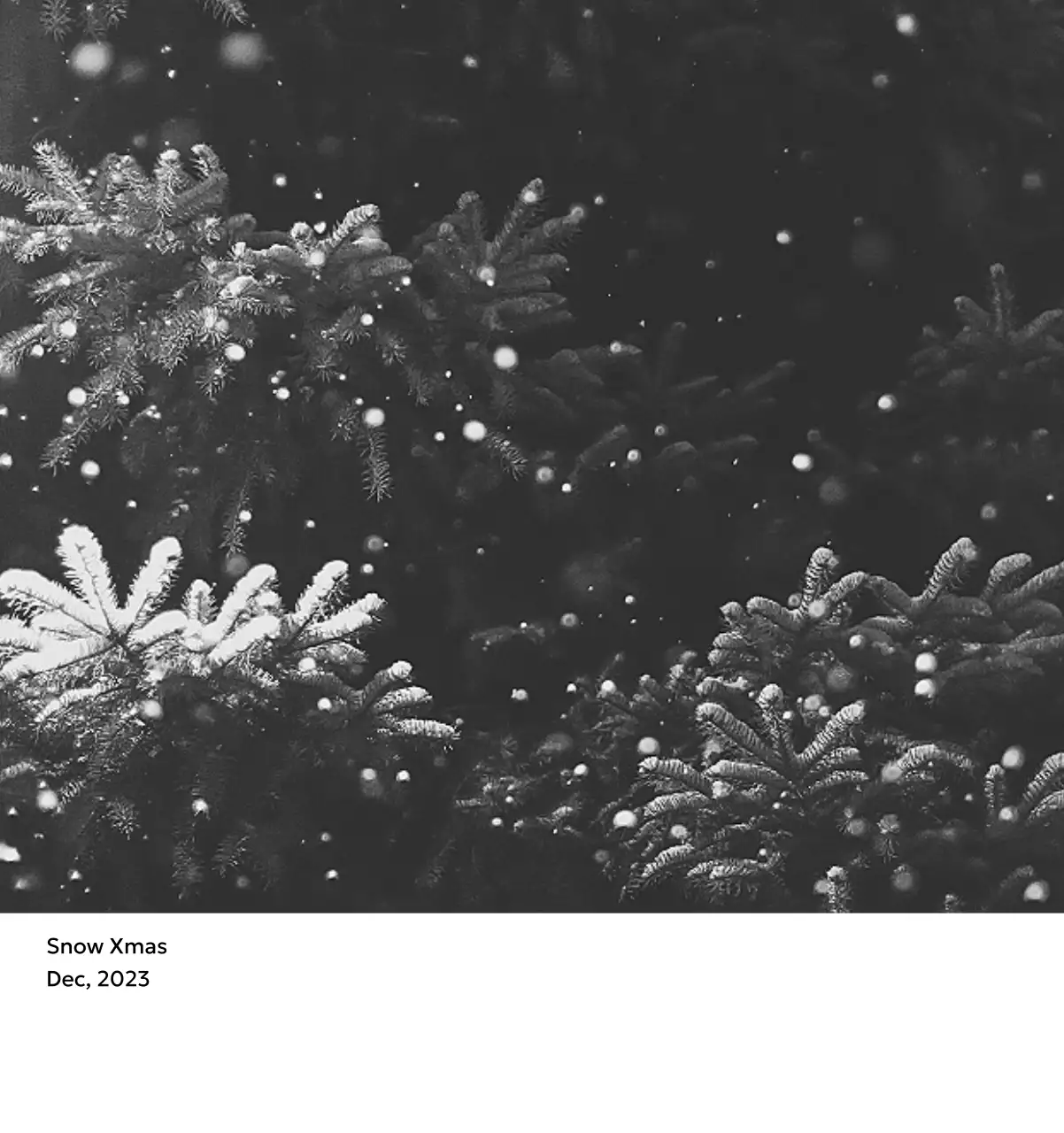 すっきりとした都会的な雰囲気のフォトカレンダー