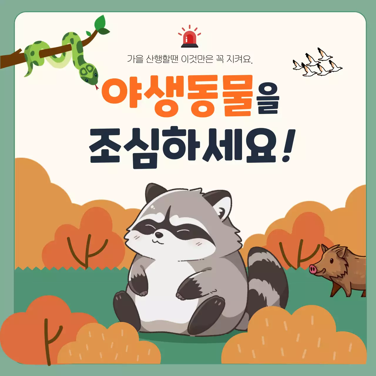 주황과 초록의 아기자기한 야생동물 주의 정보