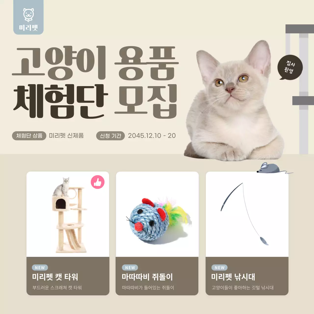 노랑의 아기자기한 반려동물 용품 체험단 이벤트 홍보