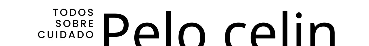 Combinar la tipografía para promocionar su marca