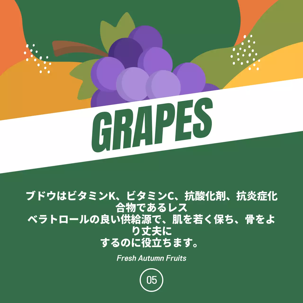 カラフル ポップ フルーツ パンフレット SNS投稿 正方形