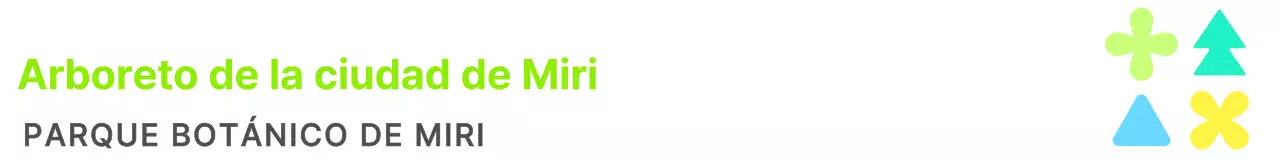 Diseñe su marca con colores vivos