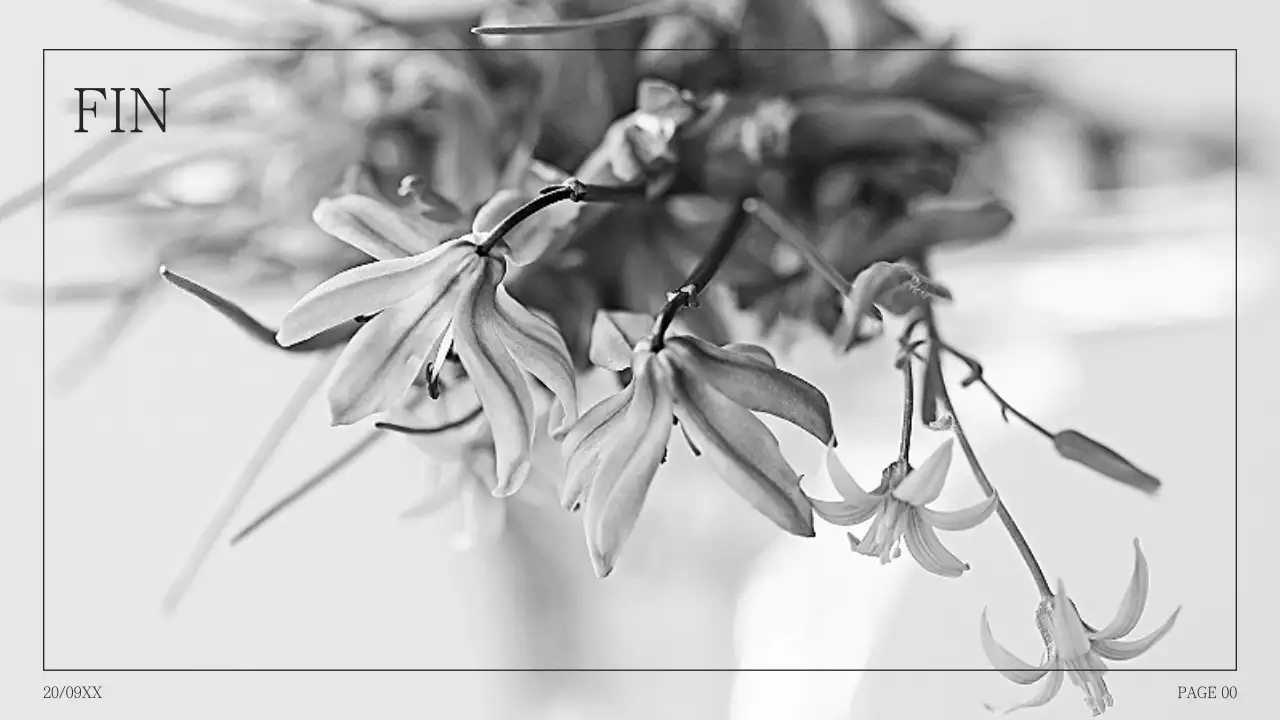 Proposition simple de collage de photos en dos d'âne