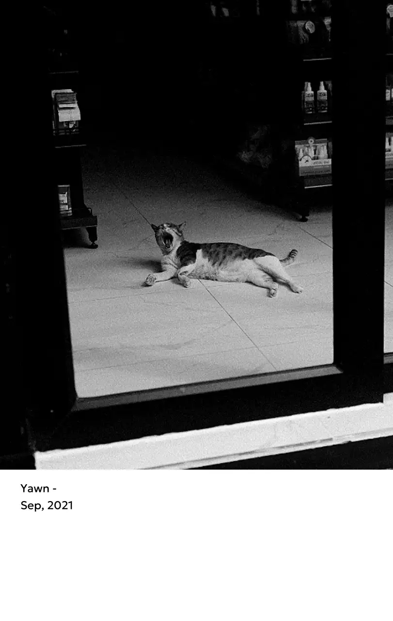 すっきりとした都会的な雰囲気のフォトカレンダー